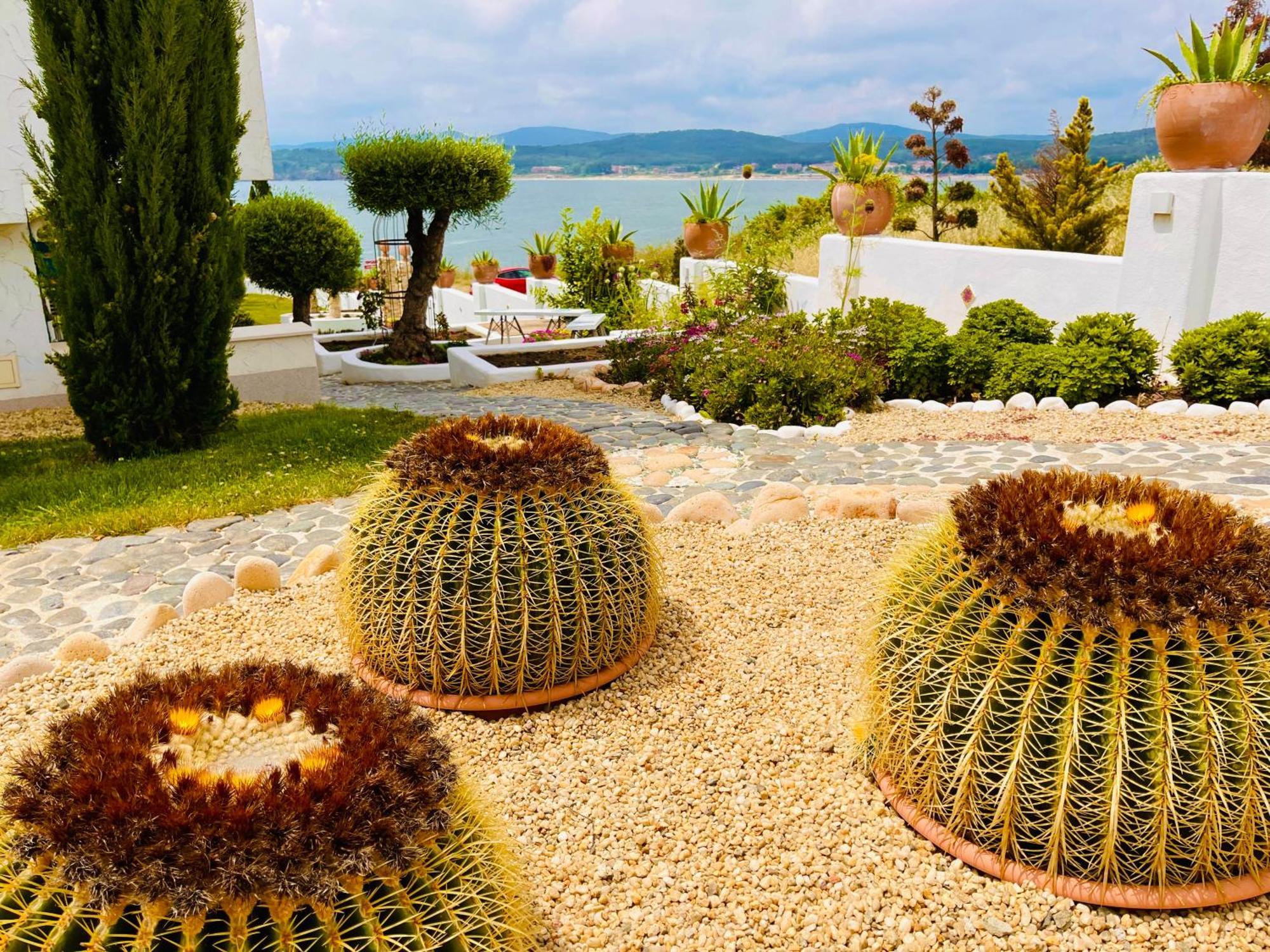 ソゾポル Casa De Oro Almaアパートホテル エクステリア 写真